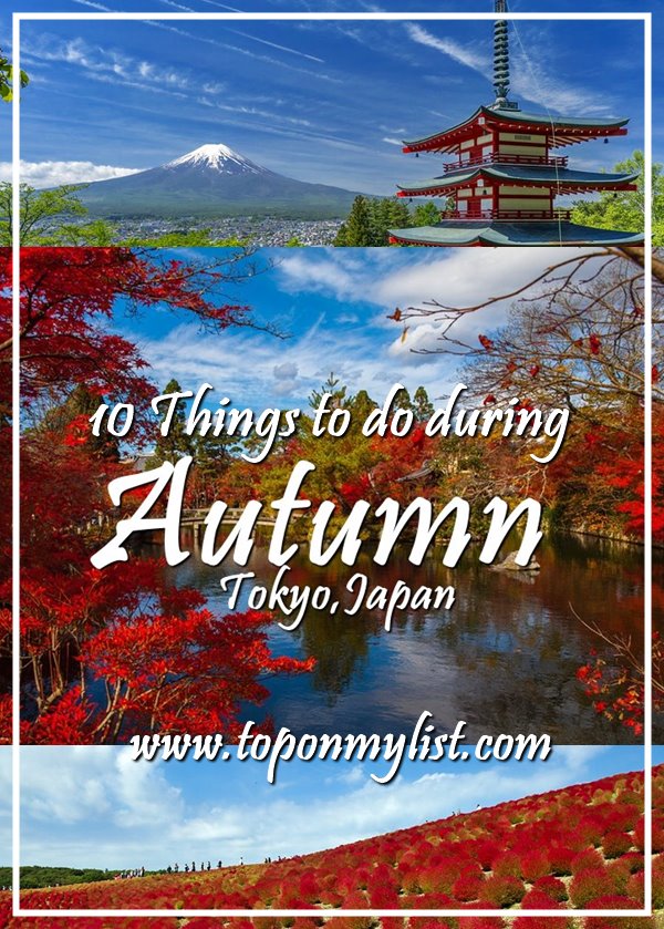 10 THINGS TO DO DURING AUTUMN SEASON IN TOKYO, JAPAN