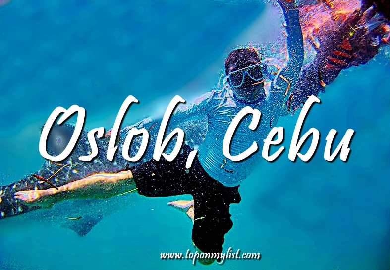 7 THINGS TO DO WHEN VISITING OSLOB, CEBU | TRAVEL GUIDE